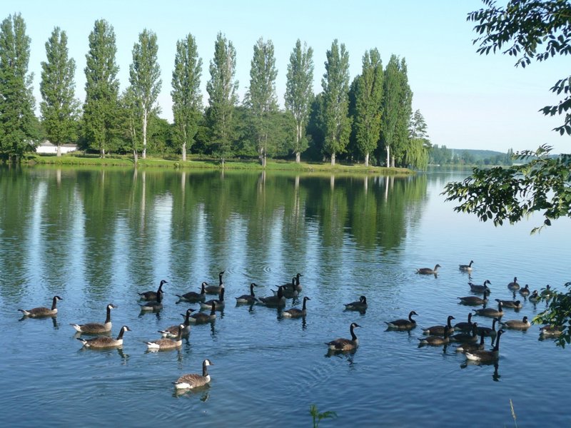 2013-06-30-Ornithologie à Ecluzelles